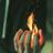 flamewalker08's profile image