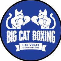 Big Cat Boxing (@big_boxing) 's Twitter Profile