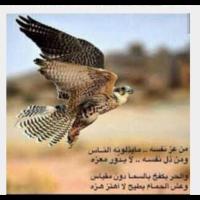 حمد الحربي(@osamah32568005) 's Twitter Profileg
