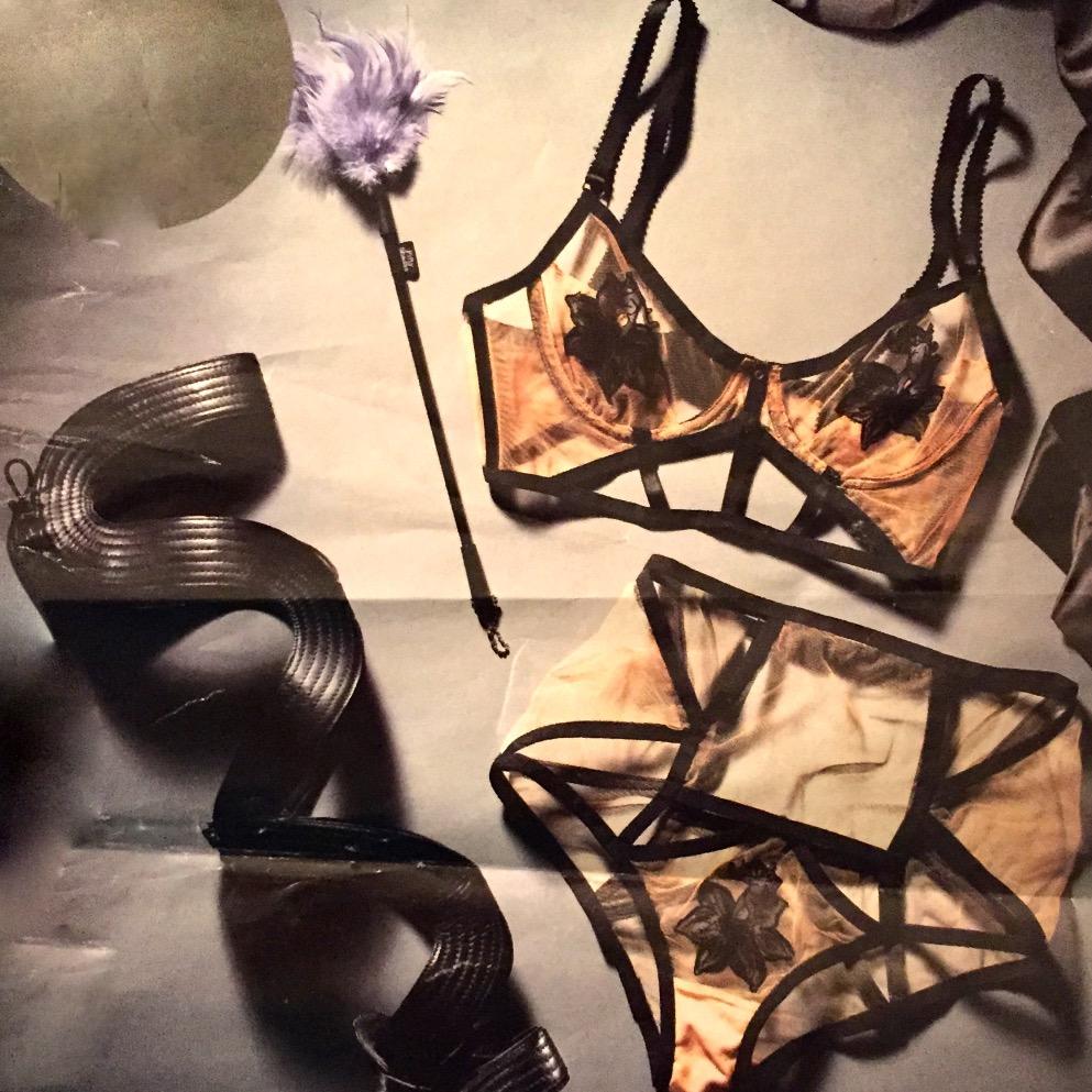 giannadalton1's profile picture. 