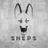 DjSheps's profile image