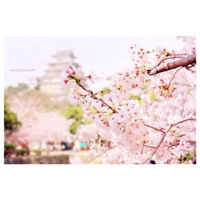 MelisaBascii75's profile picture. Helmond