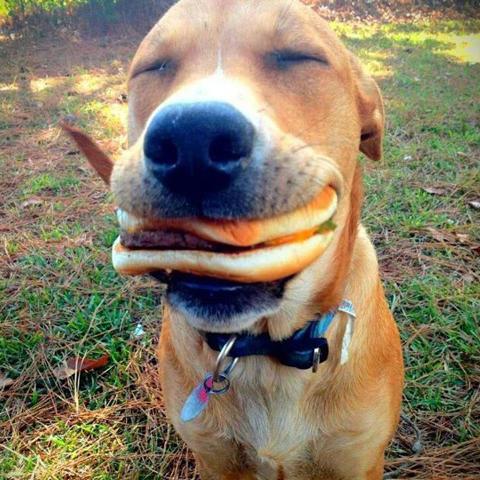 kentemir's profile picture. 