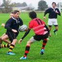 Harrison Willis - @H_Willis23 - Twitter