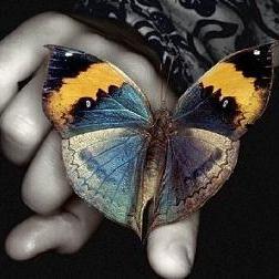 jagna77's profile picture. 