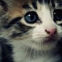 Carrie`×~ - @carrie_bear_6 - Twitter