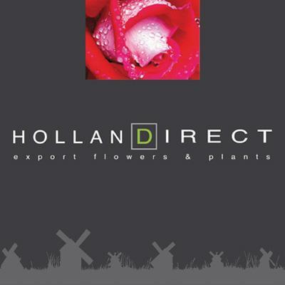 Hollandirect fleurs
