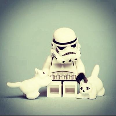 Lego addicted. Tengo gatos, tortugas y un máster del universo. #lamamadelsunyu #royrocks