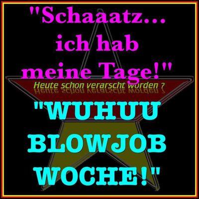 benjie264's profile picture. 