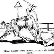 today_lay's profile picture. WE WILL BE PUTTING UP HORSES EVERY DAY TO LAY FOLLOW AWAY AND WATCH IT PAY!!!!