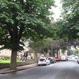 SaltaireTrees