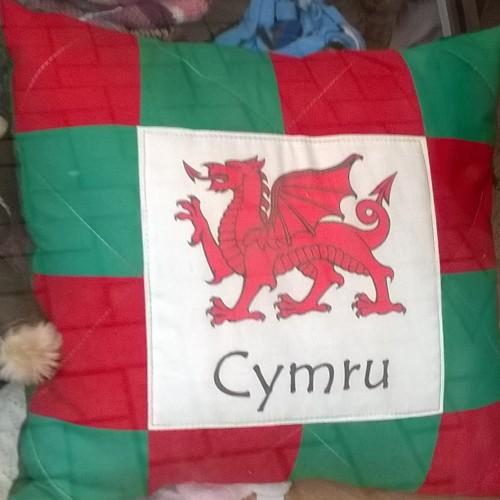 roberts8386's profile picture. Gobeithio agor busness fy hyn yn y dyfodol. Hoping to open own business in the future