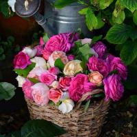 فاطمة راسم (@2141tfrm) 's Twitter Profile