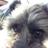 scarter333's profile image