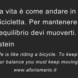 dengiconsulting's profile picture. 