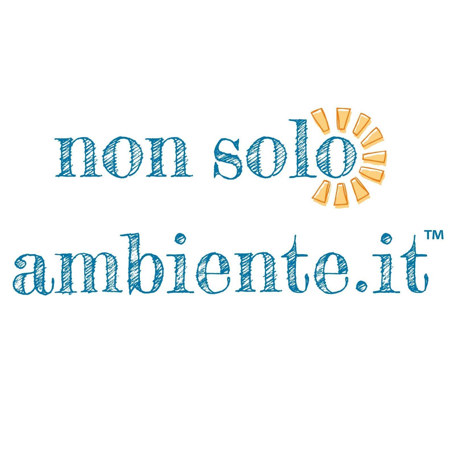 Nonsoloambiente Profile Picture