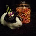 Michelle Womack  - @elle_womack - Twitter