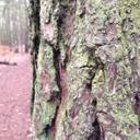 Dan Breeze - @breeze_dan - Twitter