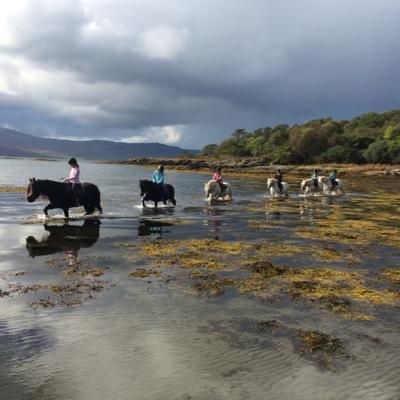 Pony trekking at Killiechronan on the Isle of Mull