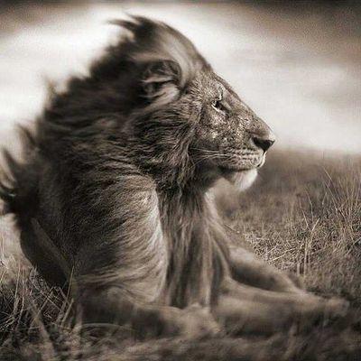 LuvTheHatersMwa's profile picture. ............