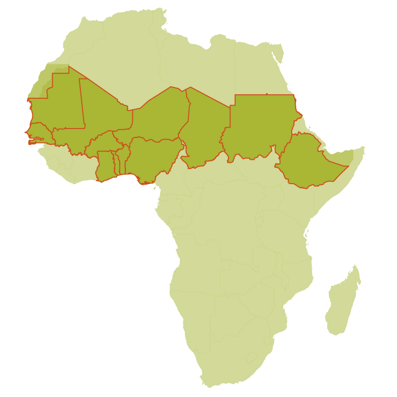 The Sahel and West Africa Sahel Program and BRICKS projetcs in support of the Great Green Wall Initiative

#GDTE #SLWM #Environment