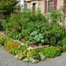 UpFront Gardens (@upfrontgardens) Twitter profile photo