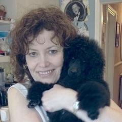 weownabusiness's profile picture. 