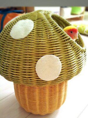 8686inko's profile picture. 16年生きたピッピと暮らしていました(2015年8月12日永眠)。2015年11月1日にピッピの後輩トリーとの生活を始めました。メダカ、サワガニさん同居。🌼みどりちゃん(2018.11.15)あおちゃん(2019.5.15)🌼トリーちゃん(2020.6.6)🌷