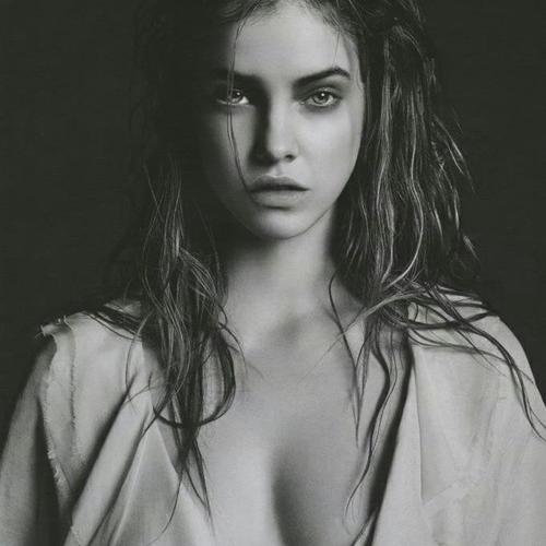 Palvinportugal's profile picture. 