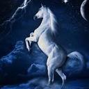 nikhil narayan - @nikhilnarayan42 - Twitter