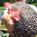 James Hatch - @darkcloud444 - Twitter