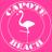 capotebeach's profile image