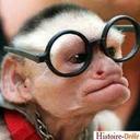 Roger Bedard  - @RogerBedard51 - Twitter