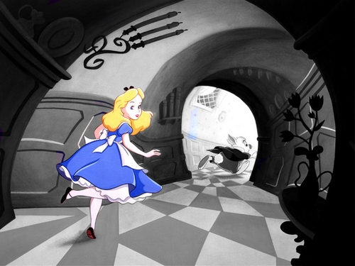 pleasance's profile picture. Flowers are the things we grow, secrets are the things we know.