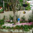 ann maureen rita hay - @amrhay1 - Twitter