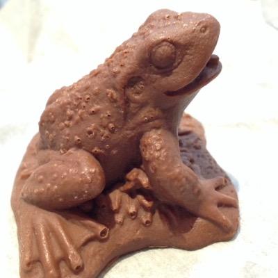 かえる 北海道情報大 Toad Chocolate Twitter かえる 北海道情報大 Toad Chocolate Twitter