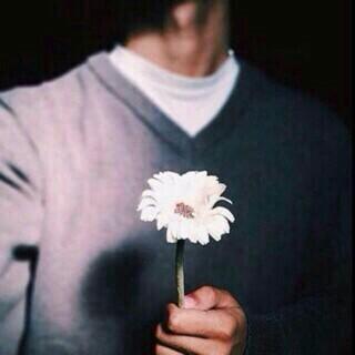 sln_sultan's profile picture. 