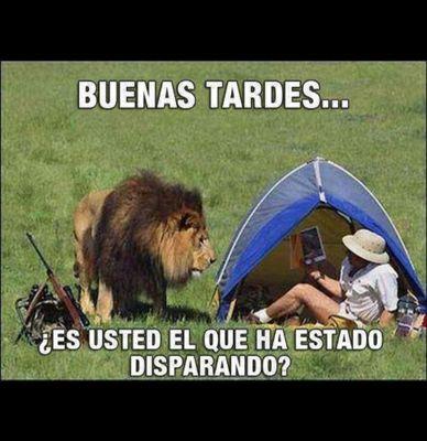 No ay que estudiar para ser un idiota