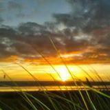 splendieuse's profile picture. 