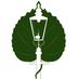 Park Garden Trail (@parkgardentrail) Twitter profile photo Park Garden Trail (@parkgardentrail) Twitter profile photo