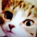 Alexis Tremblay - @fireblitz456 - Twitter