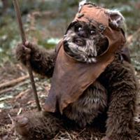 Cuddly Ewok. (@hercuddlyewok) 's Twitter Profile Photo Cuddly Ewok. (@hercuddlyewok) 's Twitter Profile Photo