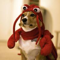 Jasot Turbot (@jasotturbot) 's Twitter Profile Photo Jasot Turbot (@jasotturbot) 's Twitter Profile Photo