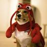 JasotTurbot's profile picture. 