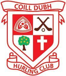Kildare Senior Hurling Club