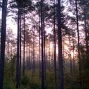 Todd Woolery - @mtwgators - Twitter