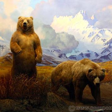 DarenJames's profile picture. 