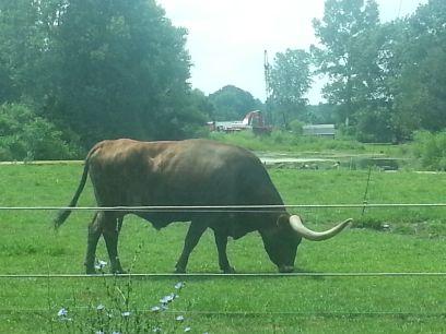 slaveboy762's profile picture. 