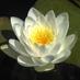 Lowimpact.org (LILI) (@lowimpactorg) Twitter profile photo Lowimpact.org (LILI) (@lowimpactorg) Twitter profile photo