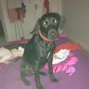 Isabelle Scott - @issyscott192 - Twitter